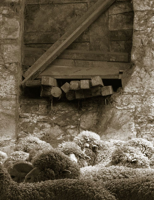 costume sur mesure holland & sherry